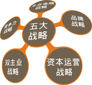 明确目标与策略